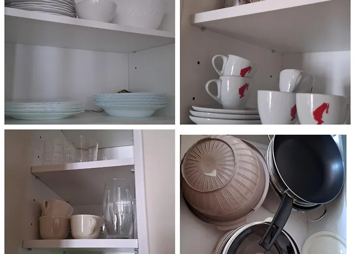 Vucko D444 Private Host 4*